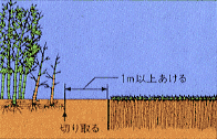 バイオバリヤー-画像10