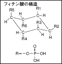 フィチン酸-画像01