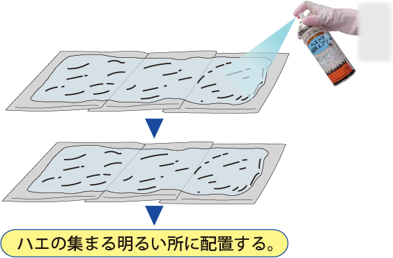 ハエトリ粘着剤エアゾール-画像01