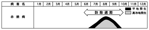 日曹プレビクールN液剤-画像01