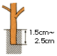 オアシス発泡成形育苗資材-画像09