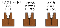 オアシス発泡成形育苗資材-画像13
