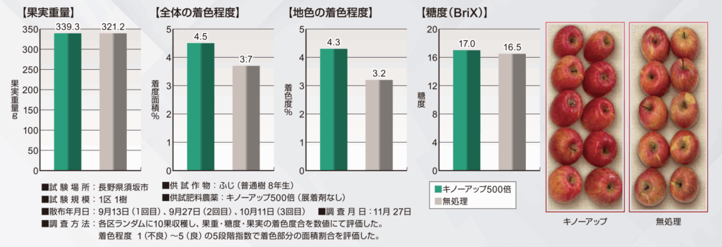 りんごへの効果試験 2023年