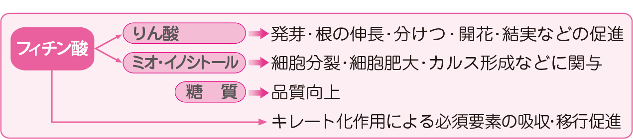 フィチン酸イメージ